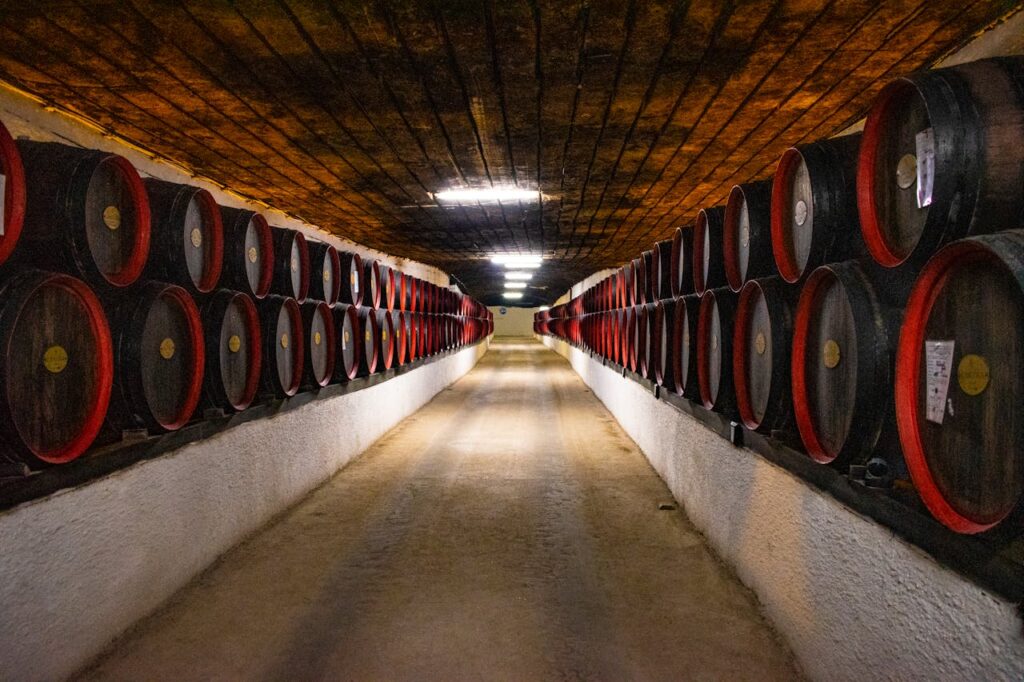 cave à vin